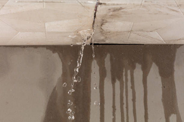 Professional Structural Drying technician working in Covington, VA